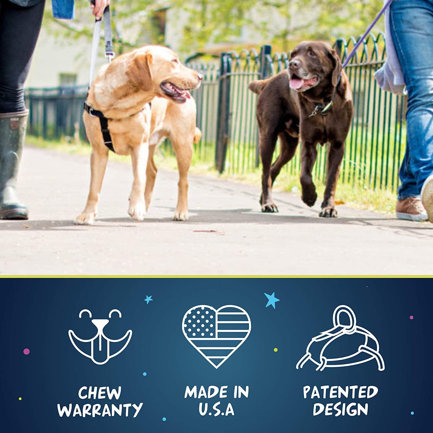 2 Hounds Design Freedom No Pull Dog Harness, Adjustable Harness And Leash Set, Easy Walking & Comfortable Control, Fits Small, Medium & Large Dogs, Solid Colors, Made In Usa, 1' Xl, Neon Orange
